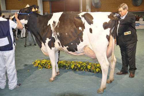 DSC1251