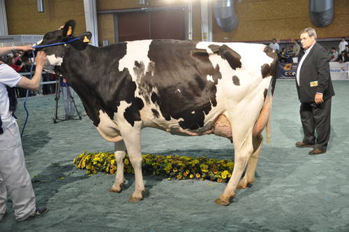 DSC1252